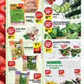 Antevisão Folheto PINGO DOCE Lojas Grandes Promoções 30 junho a 6 julho d6.jpg